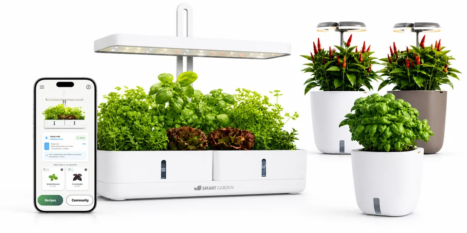 Hidroponski vrt Simply sa Smart Garden aplikacijom na telefonu, uz tri samozalijevajuće tegle Aurelia Pro